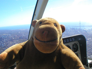 Mr Monkey looking out of the front window of a Jetranger