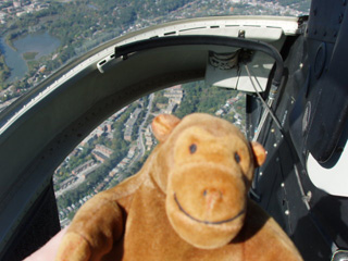 Mr Monkey looking down at High Park