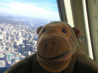 Mr Monkey looking at the tall buildings of Toronto