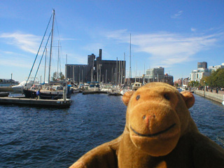 Mr Monkey looking at Spadina Quay