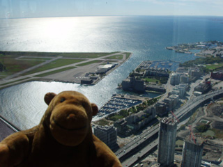 Mr Monkey looking down at the Toronto City Airport
