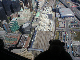 Mr Monkey looking at the Royal York and Union Station
