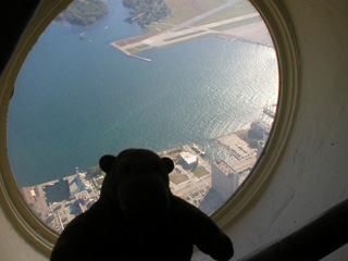 Mr Monkey looking out of a round window