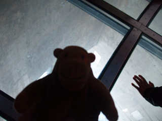 Mr Monkey looking at a glass floor
