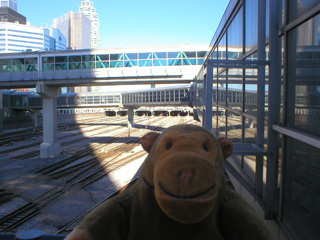 Mr Monkey looking at the Skywalk across the Toronto railway tracks
