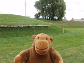 Mr Monkey looking at the wooden spikes in the ramparts of the fort