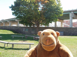 Mr Monkey looking at the Memorial area