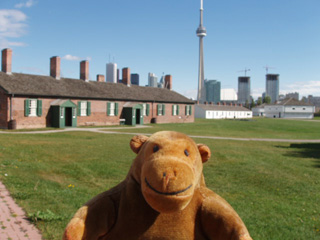 Mr Monkey looking across the inside of the fort