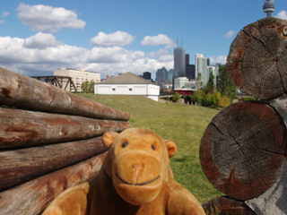 Mr Monkey looking out of the circular battery