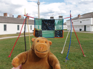 Mr Monkey in front of a sky blanket