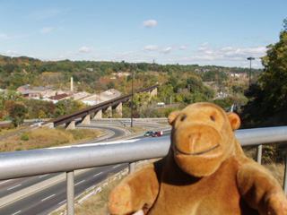 Mr Monkey looking down on the Don Valley