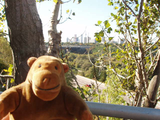 Mr Monkey looking towards the Prince Edward Viaduct