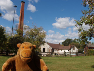 Mr Monkey looking at factory