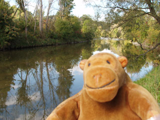 Mr Monkey looking north up the Don River