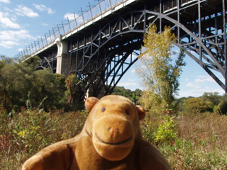 Mr Monkey looking at the Prince Edward viaduct