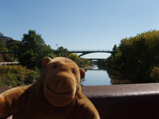 Mr Monkey looking down the Don River