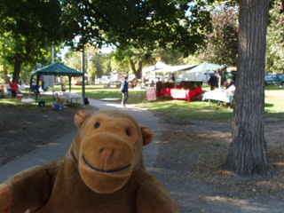 Mr Monkey watching a farmer's market setting up