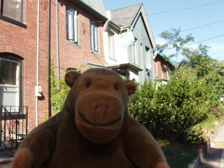 Mr Monkey on Wellesley Street