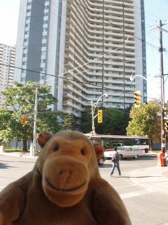 Mr Monkey across the road from an apartment tower