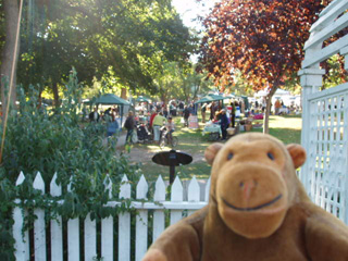 Mr Monkey looking at a busy farmer's market