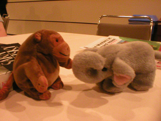 Mr Monkey talking to Tiny the elephant