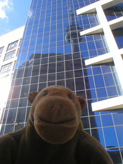 Mr Monkey looking at the CN tower reflected in a tower block