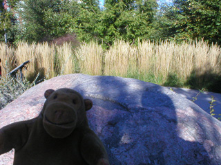 Mr Monkey beside a large rock