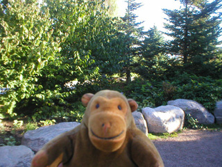 Mr Monkey in front of a row of small boulders