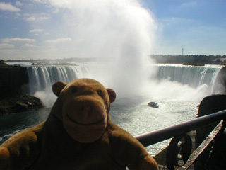 Mr Monkey looking the Horseshoe Falls
