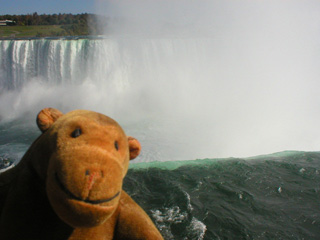 Mr Monkey watching water go over the edge of the Horseshoe Falls