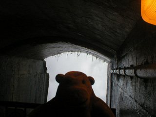 Mr Monkey in a tunnel behind the Horseshoe Falls