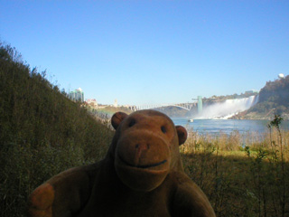 Mr Monkey looking upriver from the base of the Horseshoe Falls