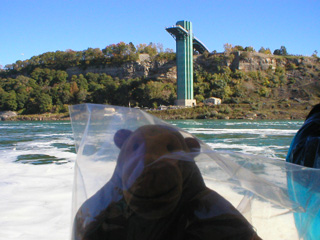 Mr Monkey looking at the American observation tower