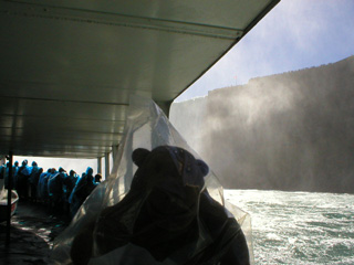 Mr Monkey beneath the Horseshoe Falls