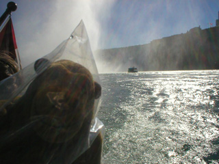 Mr Monkey looking back at the Horseshoe Falls