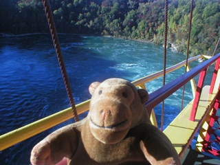 Mr Monkey looking down at the river