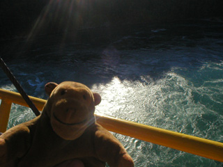 Mr Monkey looking down at the whirlpool