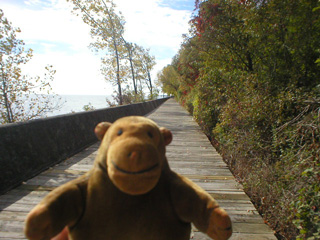Mr Monkey on the boardwalk