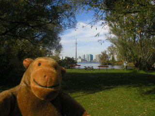 Mr Monkey looking at the Toronto skyline from Ward's Island