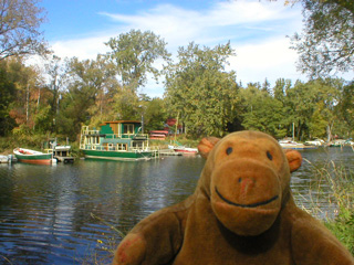 Mr Monkey looking at houseboats attached to Algonquin Island