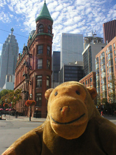 Mr Monkey at the pointy end of the Flatiron