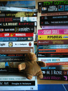 Mr Monkey with two stacks of books from Toronto