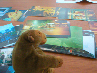 Mr Monkey with a table covered in photographs