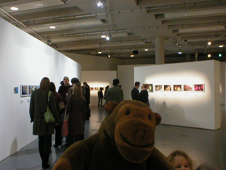 Mr Monkey wandering around the exhibition