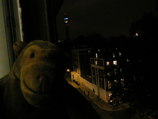 Mr Monkey looking at the BT Tower from his room
