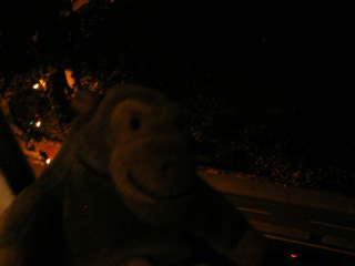 Mr Monkey looking at Tavistock Square in the dark
