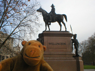 Mr Monkey in front of the Wellington monument