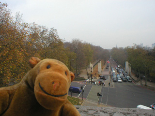 Mr Monkey looking down Constitution Hill from the top of the Wellington Arch