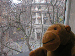 Mr Monkey looking out of his hotel window