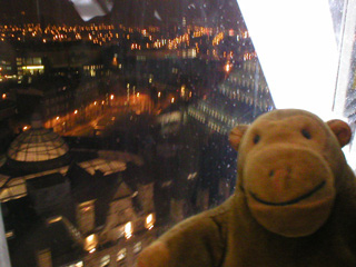 Mr Monkey looking down on the roof of the Triangle